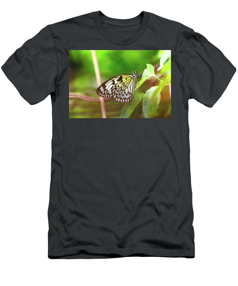 Butterfly Resting on Green Leaf Jane Kirby T-Shirt