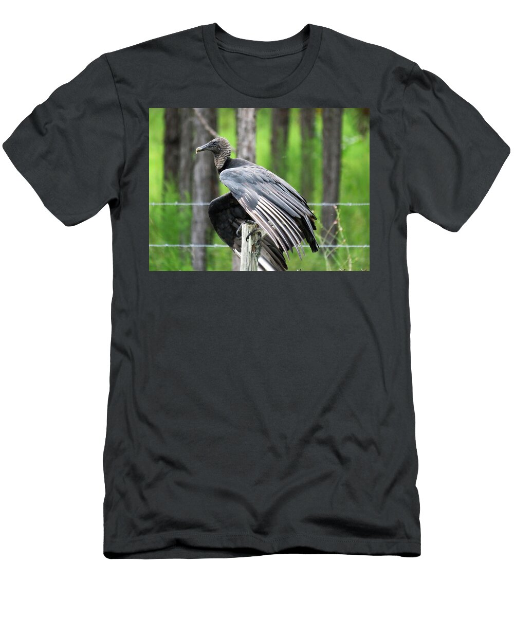 Buzzard Perched on a Post Mario Carta T-Shirt