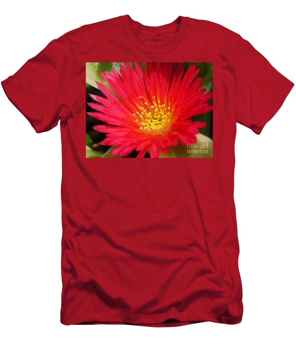 Cactus Flower Susan Carella T-Shirt