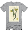 Calochorte Mariposa or Cyclobothre with Yellow Flowers Native to California S Sydenham Teast Edwards T-Shirt