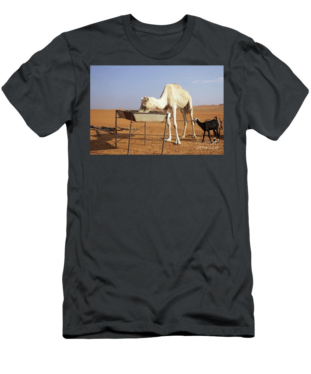 Camel in the Desert Tom Gowanlock T-Shirt