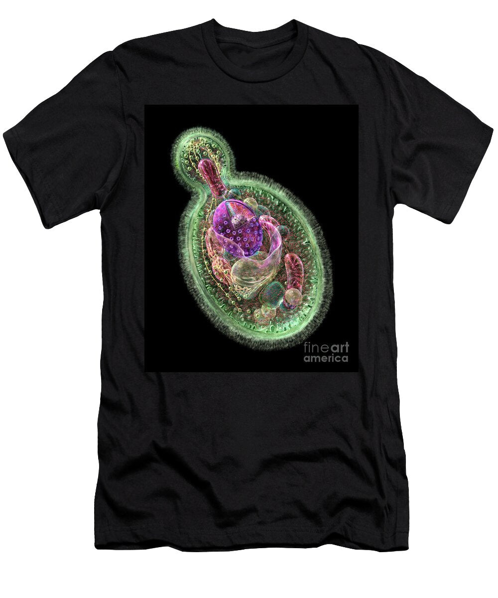 Candida Albicans Russell Kightley T-Shirt