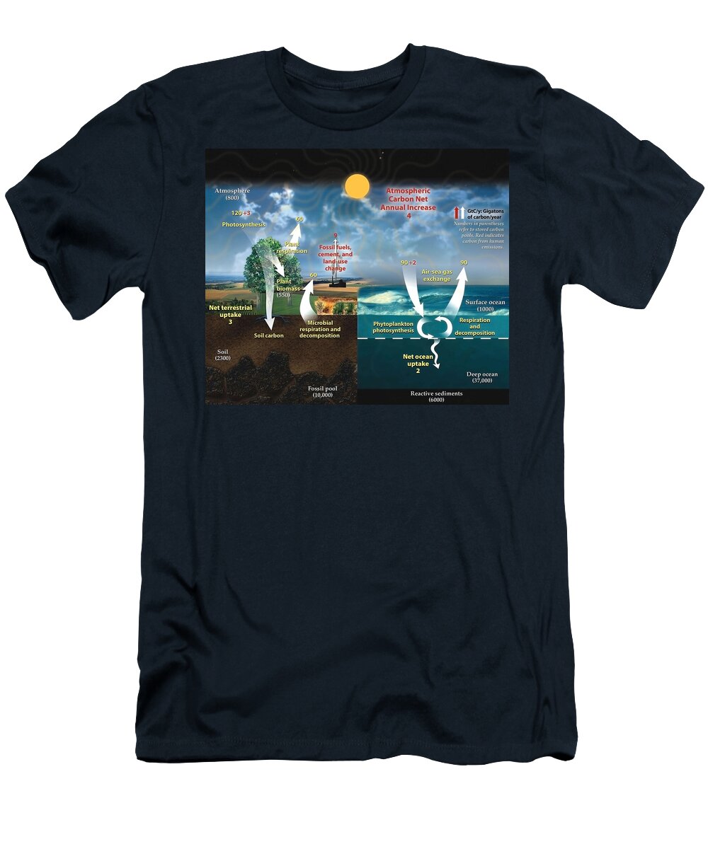 Carbon Cycle Diagram Mango Art T-Shirt