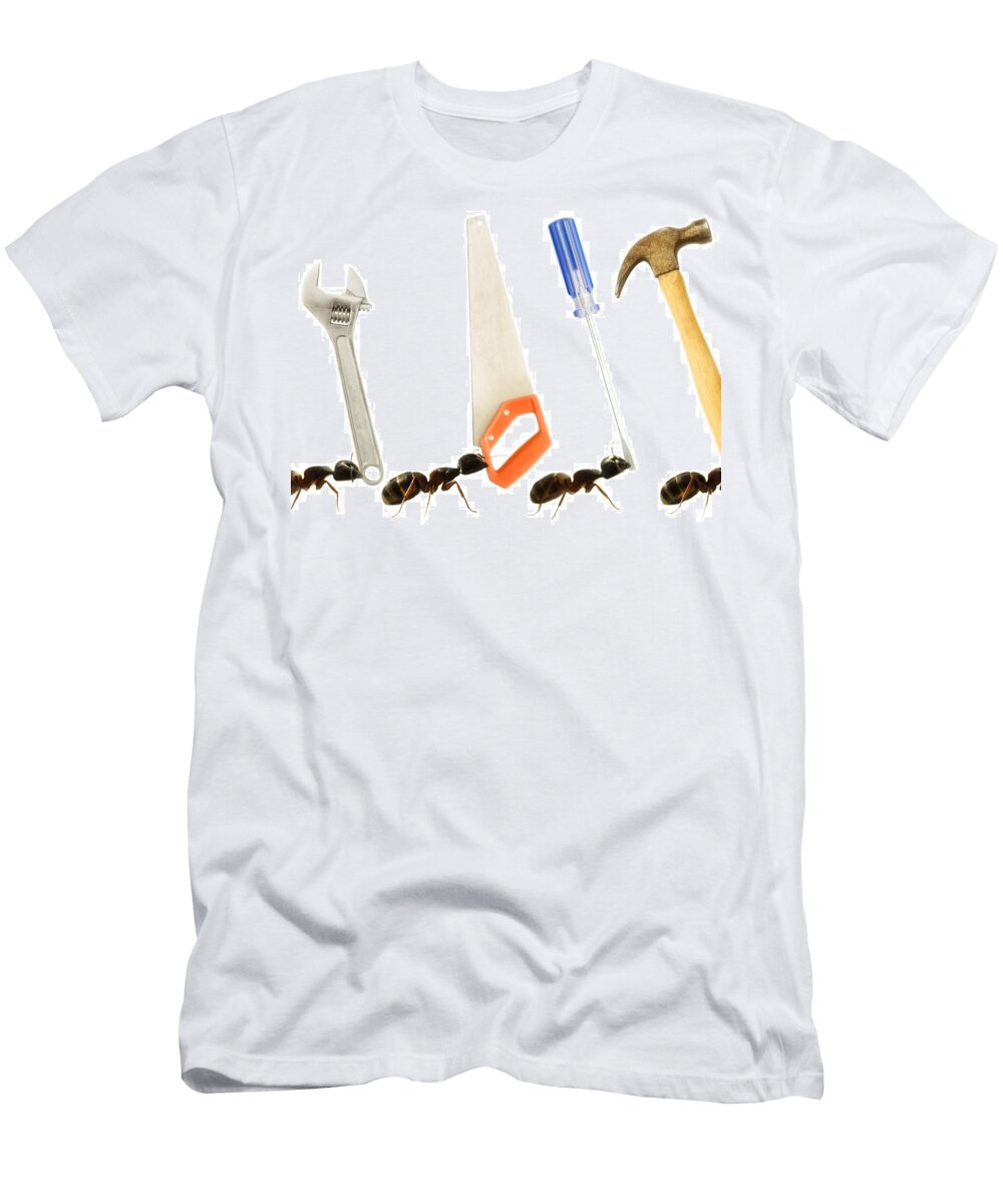 Carpenter Ants Camponotus Pennsylvanicus Chris Knorr T-Shirt