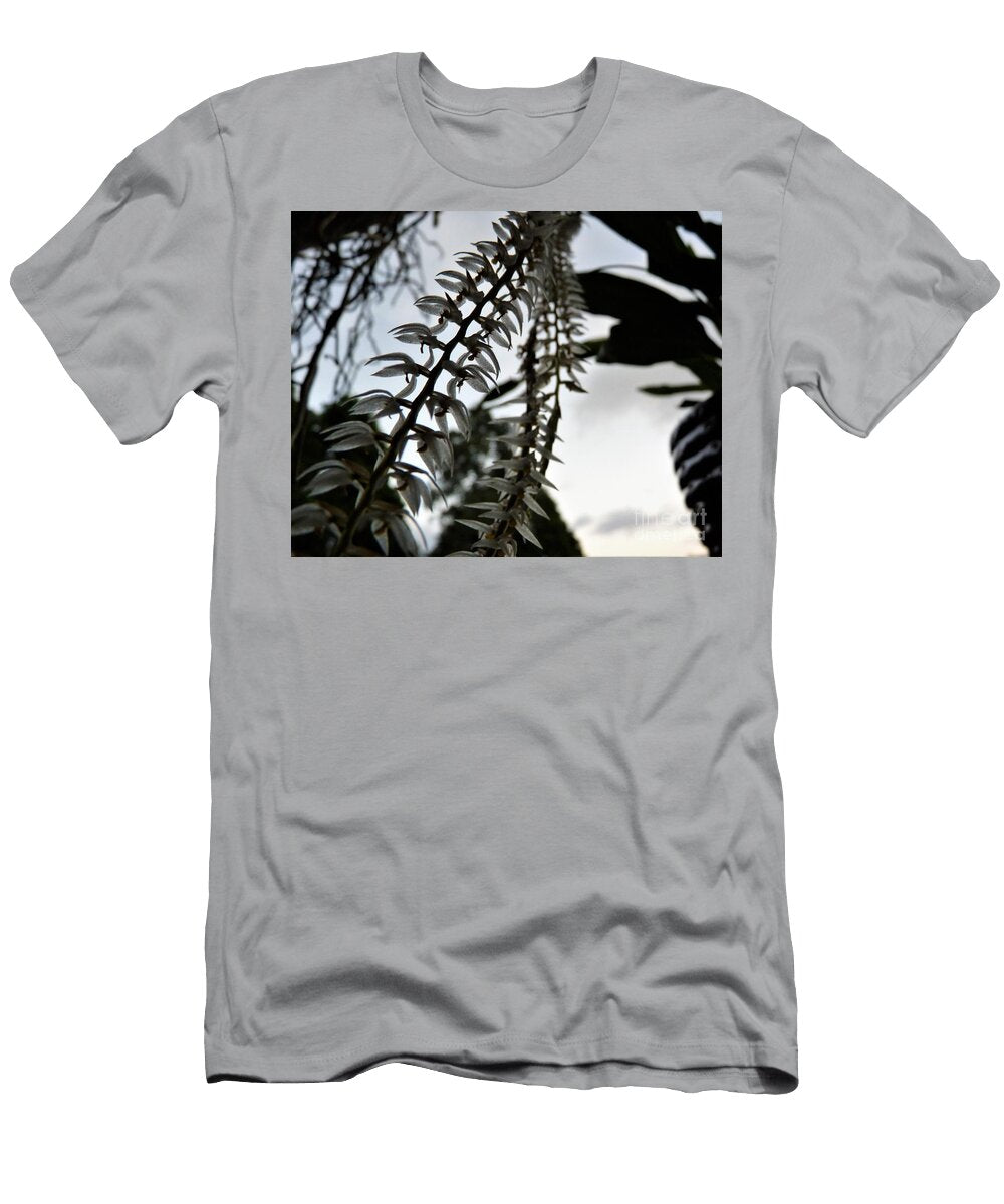 Cascade Cat Pancake T-Shirt