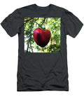 Cedar Love Cat Pancake T-Shirt