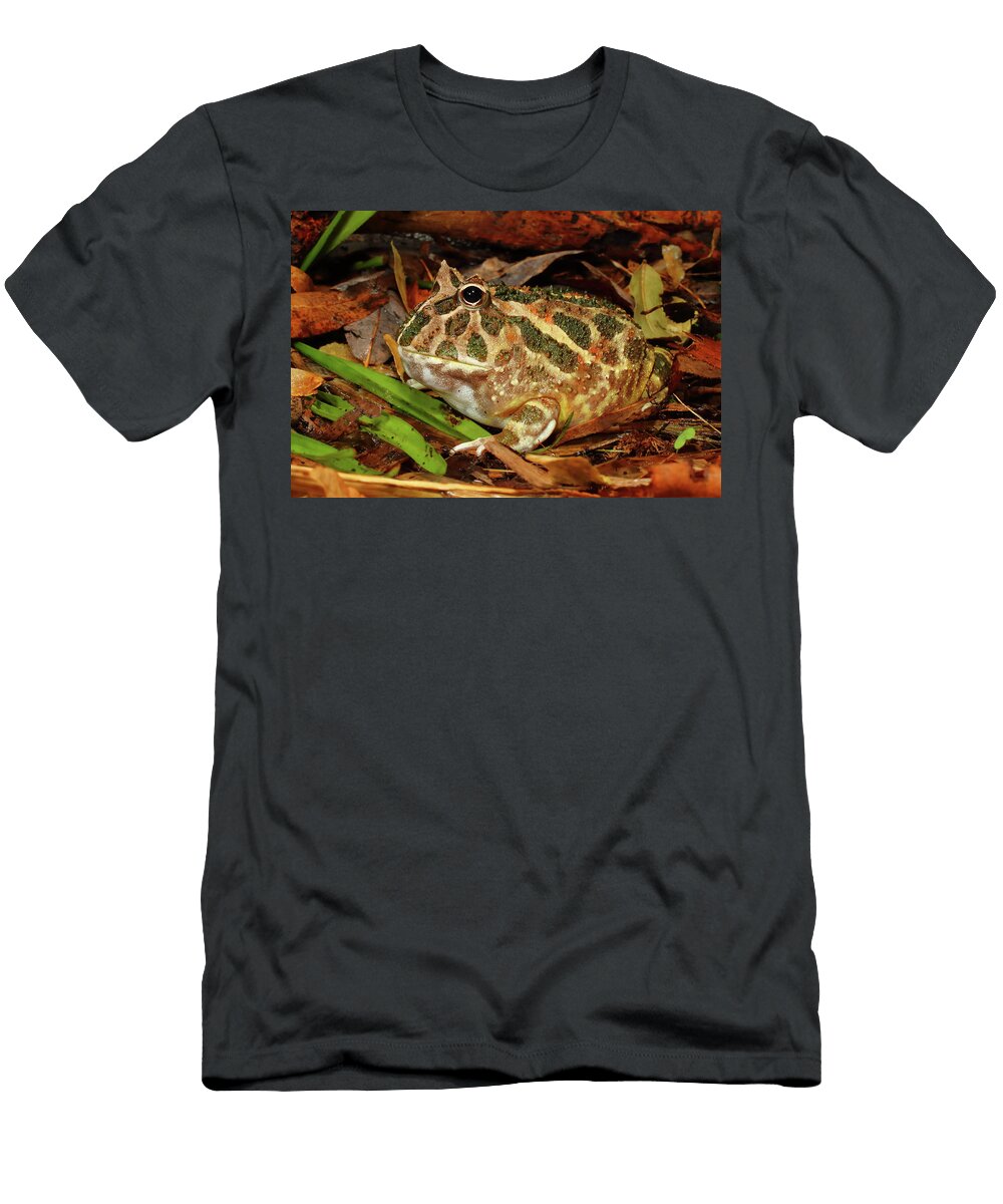 Chaco Horned Frog Michael Redmer T-Shirt