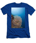 Chambered Nautilus Dave Fleetham T-Shirt