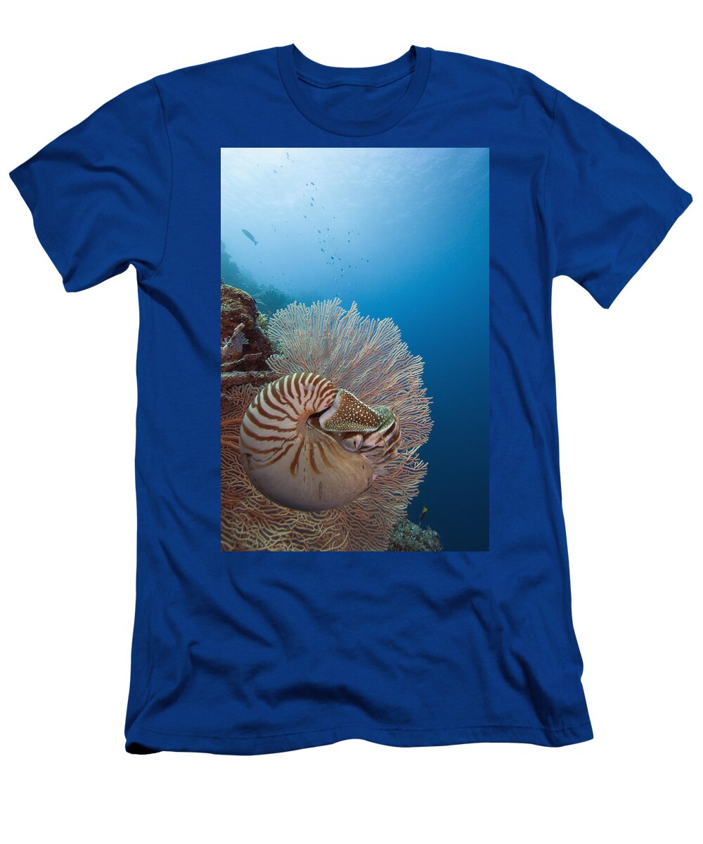 Chambered Nautilus Dave Fleetham T-Shirt