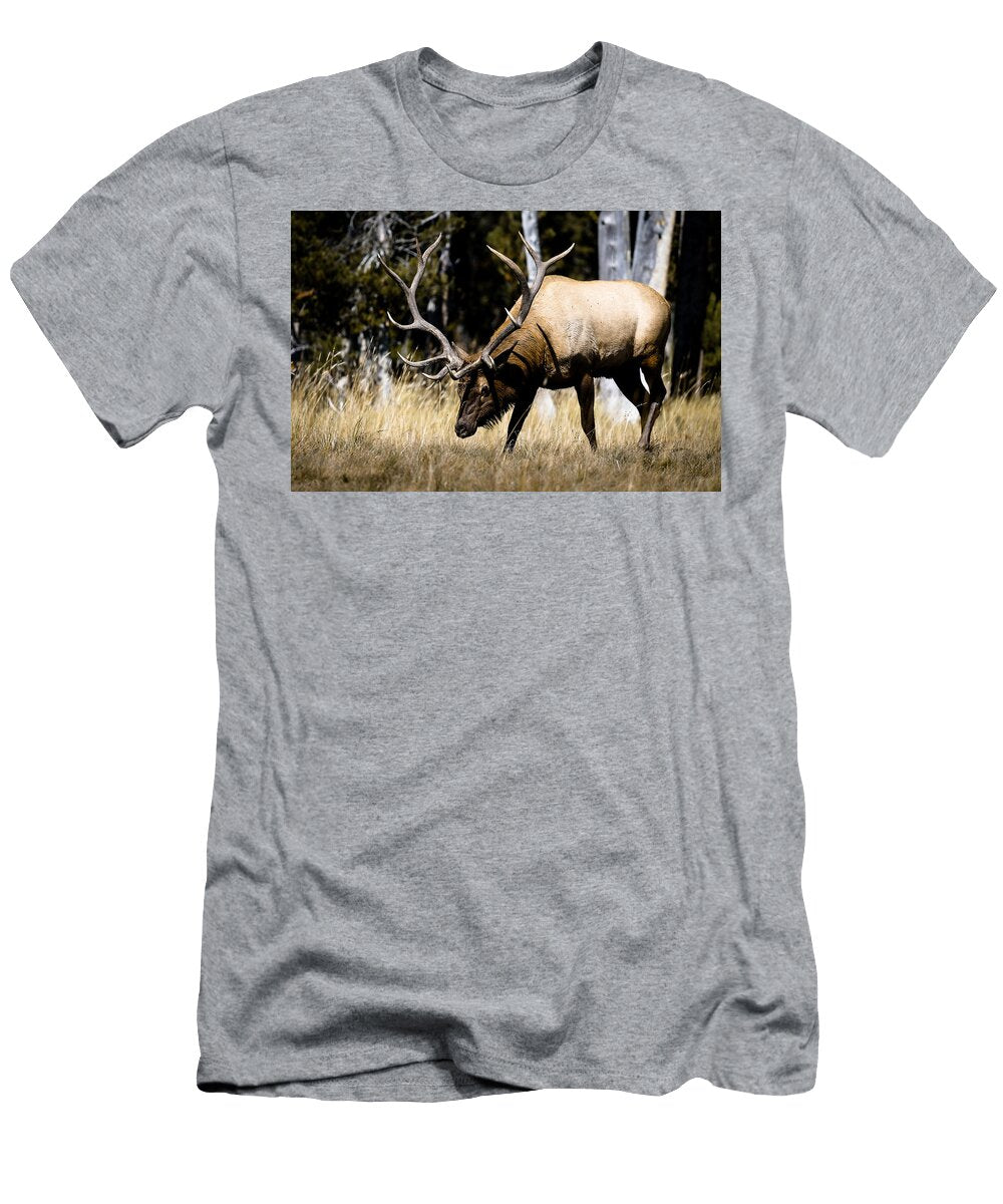 Charged Julie Argyle T-Shirt
