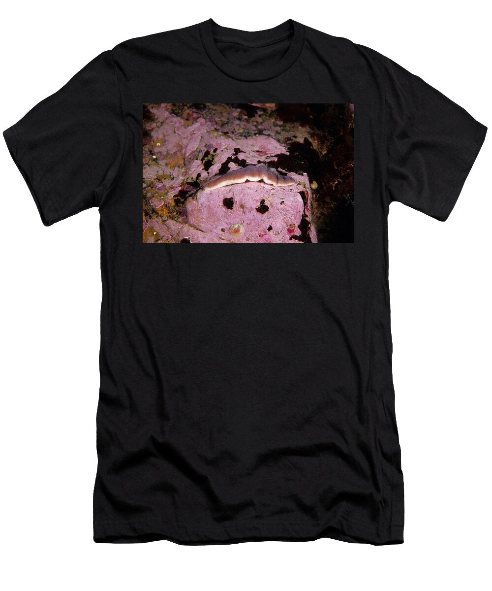 Chevron Amphiporus Andrew J Martinez T-Shirt