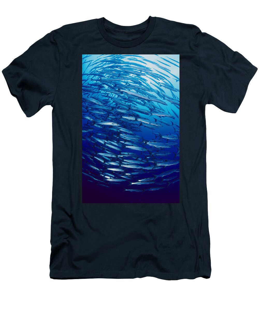 Chevron Barracuda Schooling Kimbe Bay Ross and Diane Armstrong T-Shirt