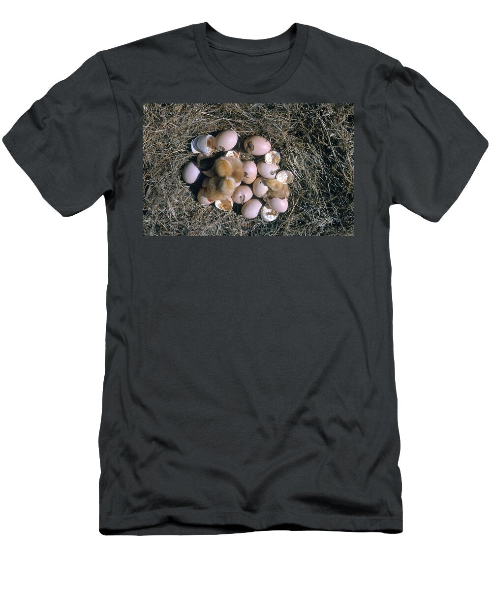 Chickens Hatching Lynwood Chace T-Shirt
