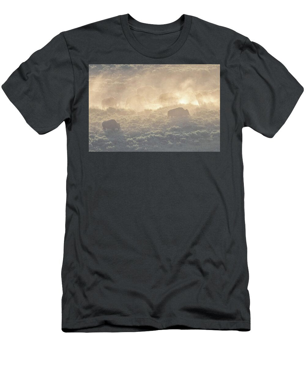 Chilly Bison Julie Argyle T-Shirt