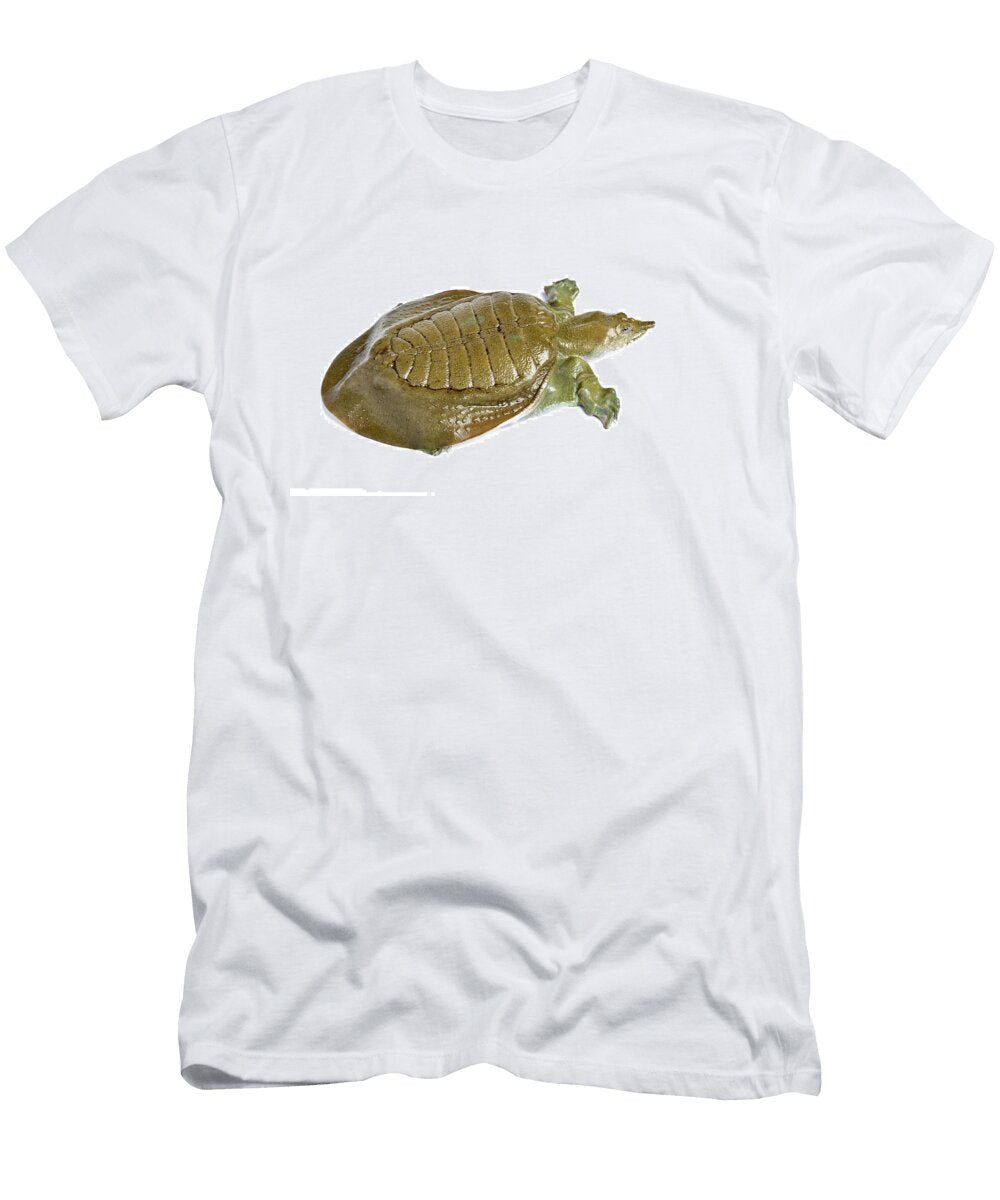Chinese Soft Shelled Turtle on White Chris Mattison Natureplcom T-Shirt