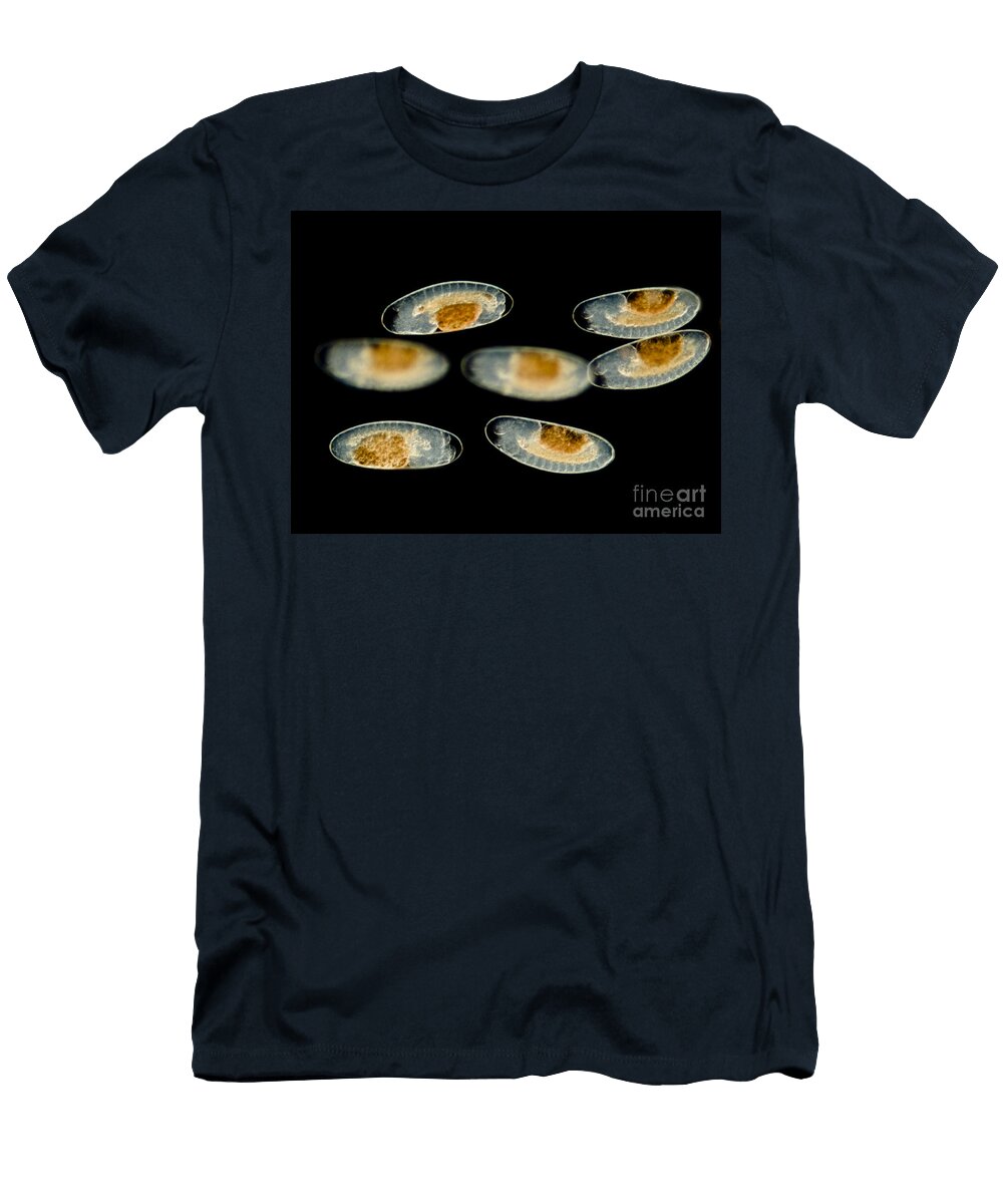 Chironomid Eggs Lm Rubn Durobiomedia Associates Llc T-Shirt