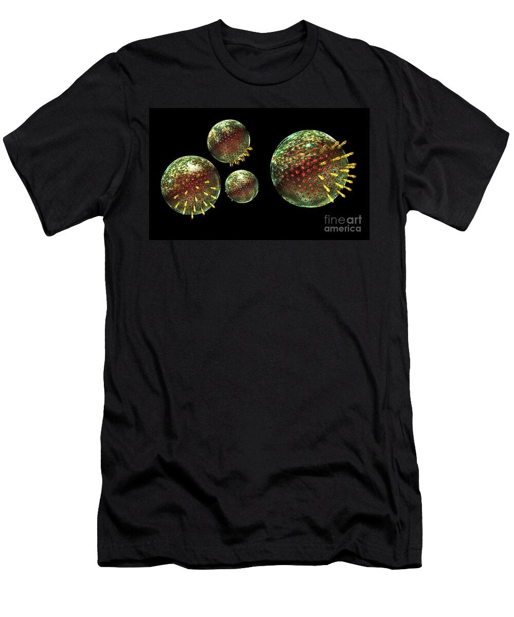 Chlamydia Group Russell Kightley T-Shirt