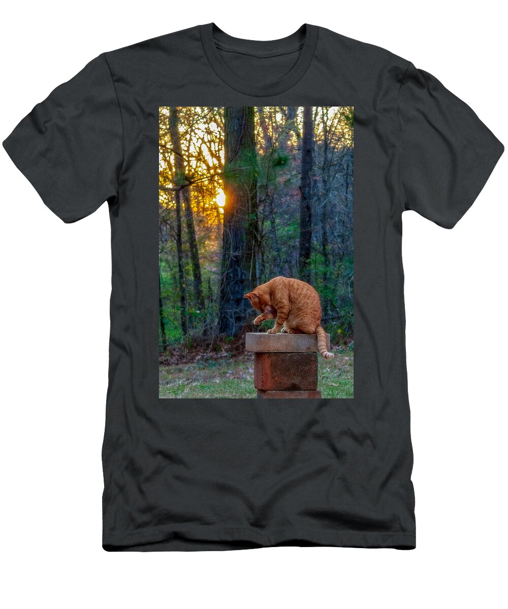 Cinderfella William Hafermalz T-Shirt