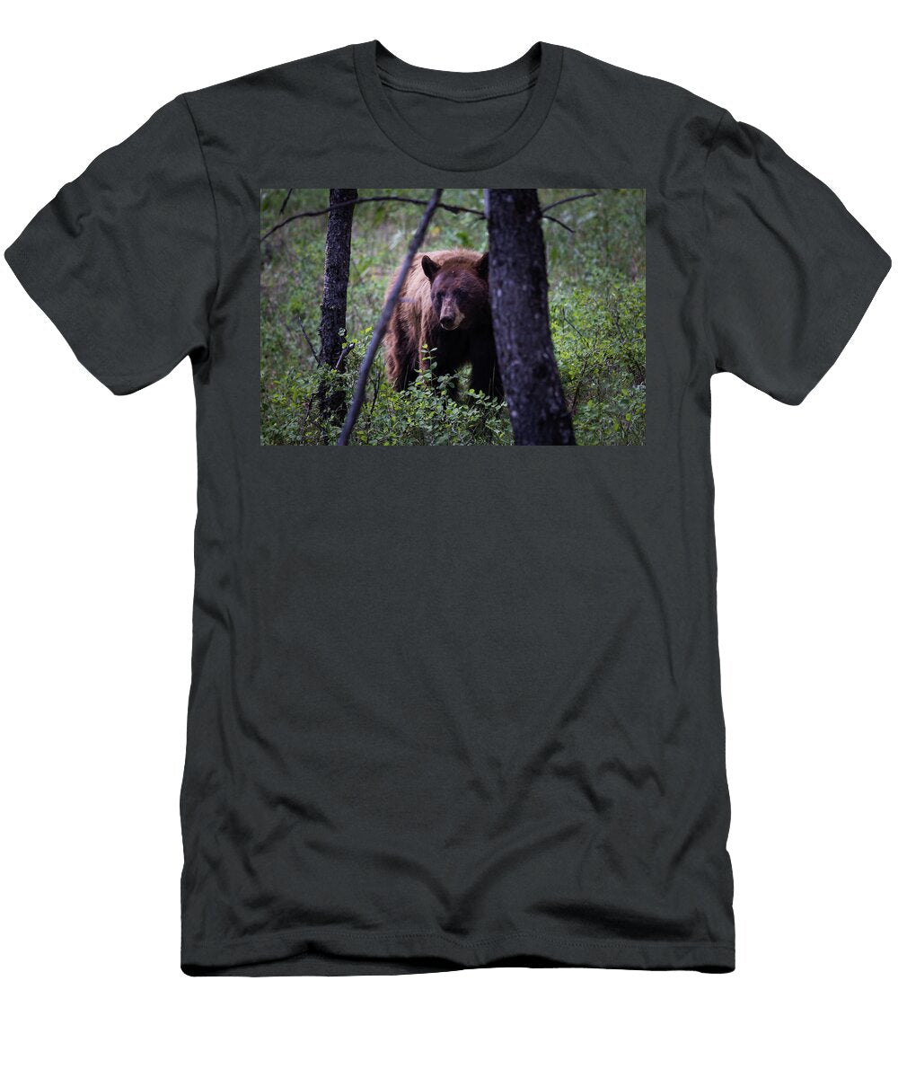 Cinnamon Black Bear Julie Argyle T-Shirt