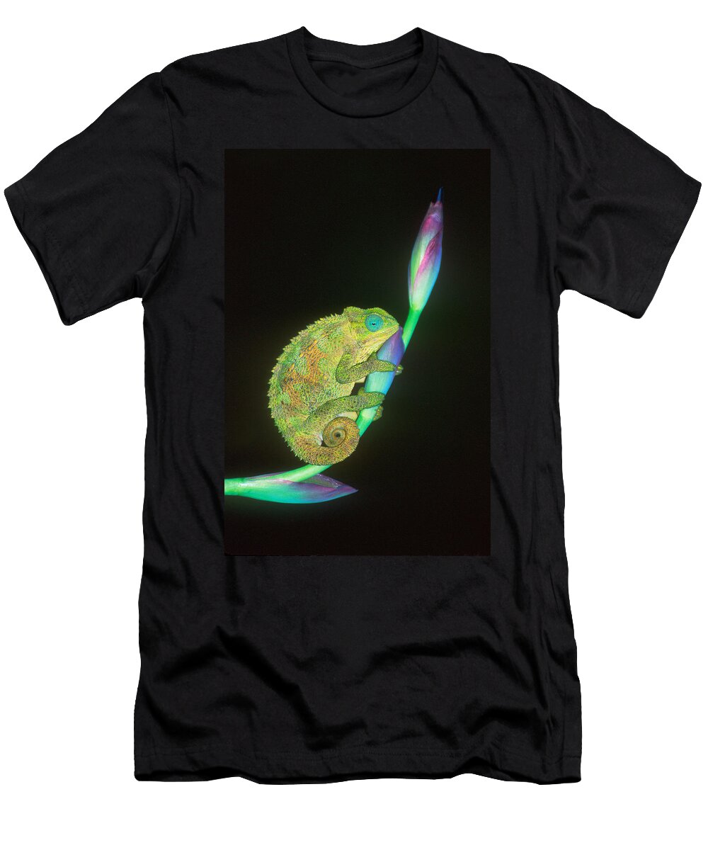 Close Up of a Chameleon Sitting Panoramic Images T-Shirt