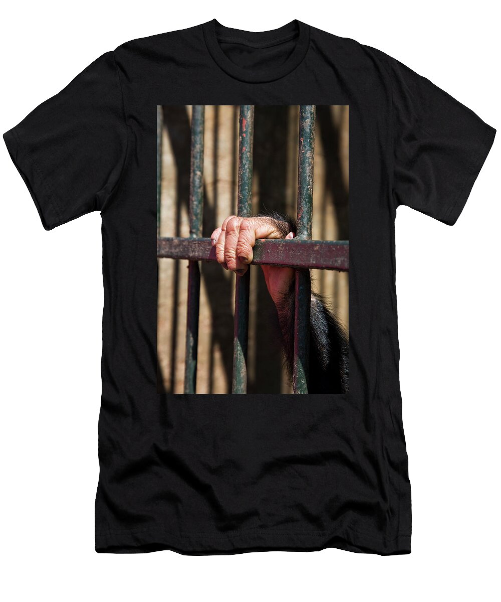 Close Up of Chimpanzees Hand Clutching Bars of Enclosure Doug Allan Natureplcom T-Shirt
