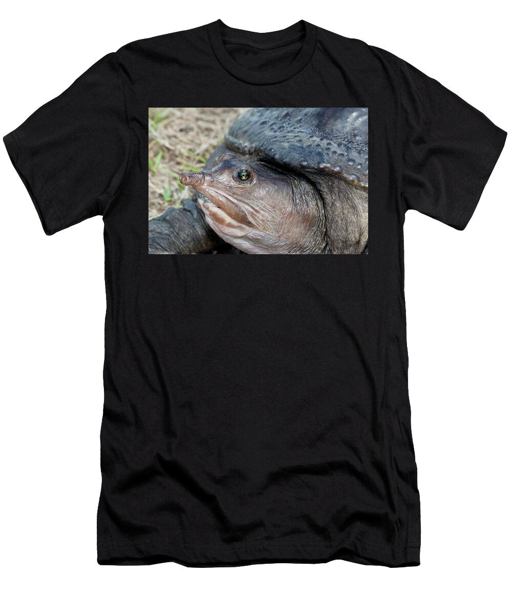 Close Up of Florida Softshell Turtle Big Cypress Swamp Chris Mattison Natureplcom T-Shirt