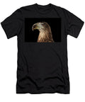 Close Up White Tailed Eagle Birds of Prey Isolated on Black Background Sergey Taran T-Shirt