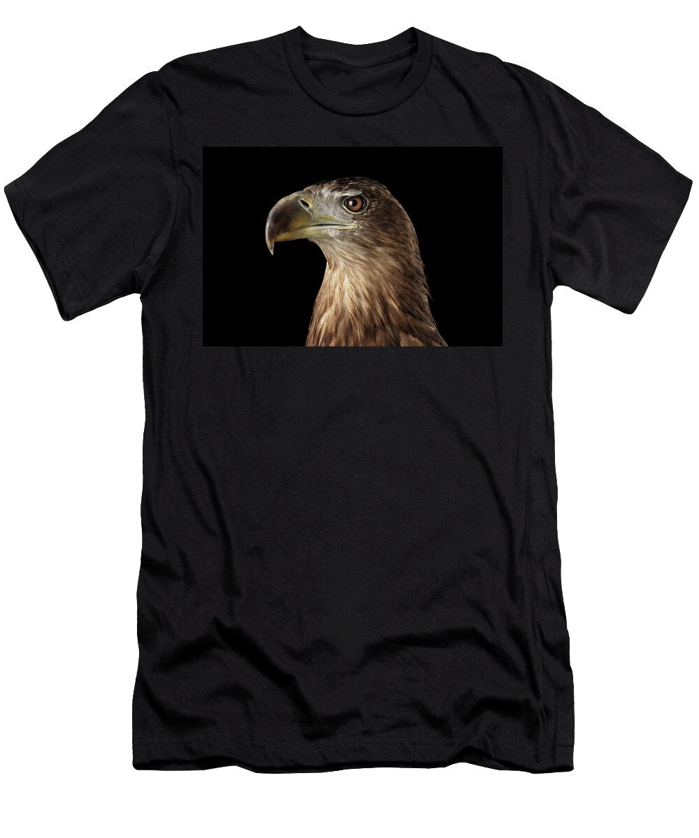 Close Up White Tailed Eagle Birds of Prey Isolated on Black Background Sergey Taran T-Shirt