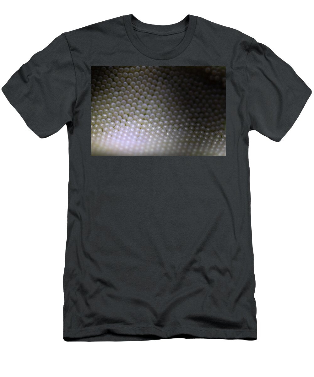 Clutch Matt Fox T-Shirt