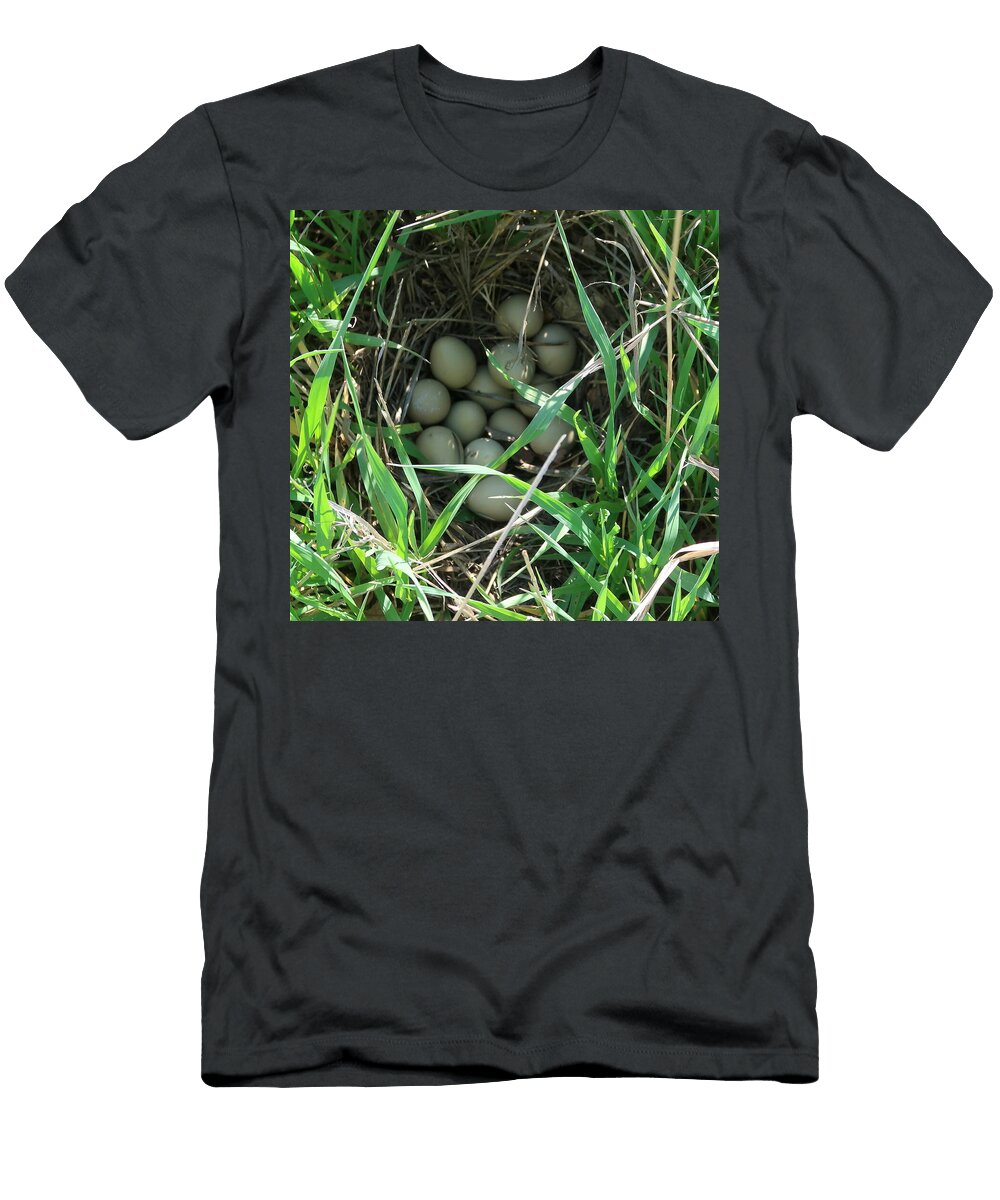 Clutch of Pheasant Eggs Katie Keenan T-Shirt