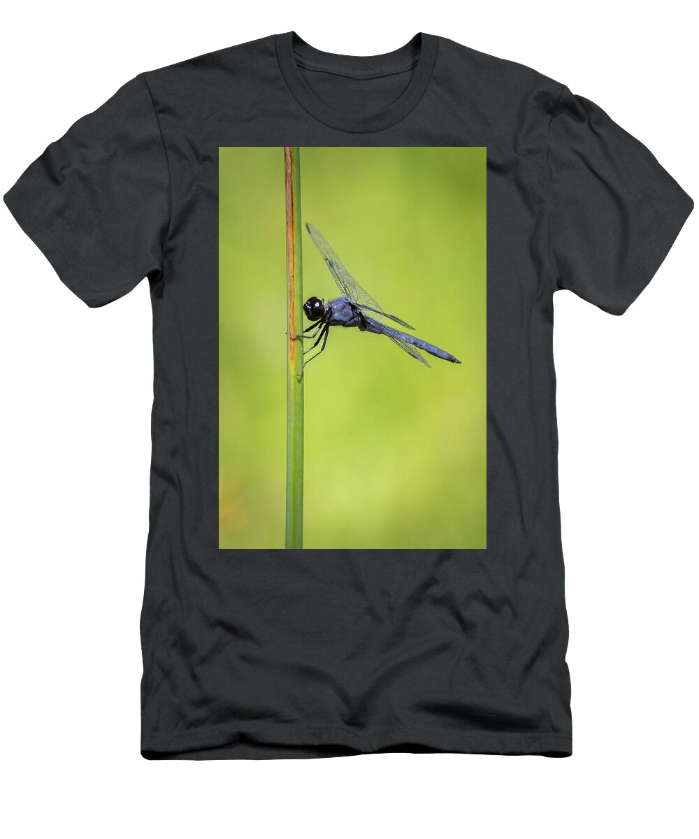 Clutch Play Chris Wiederspahn T-Shirt