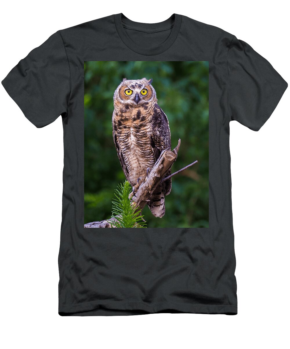 Cold Hard Stare Chance Kirby T-Shirt