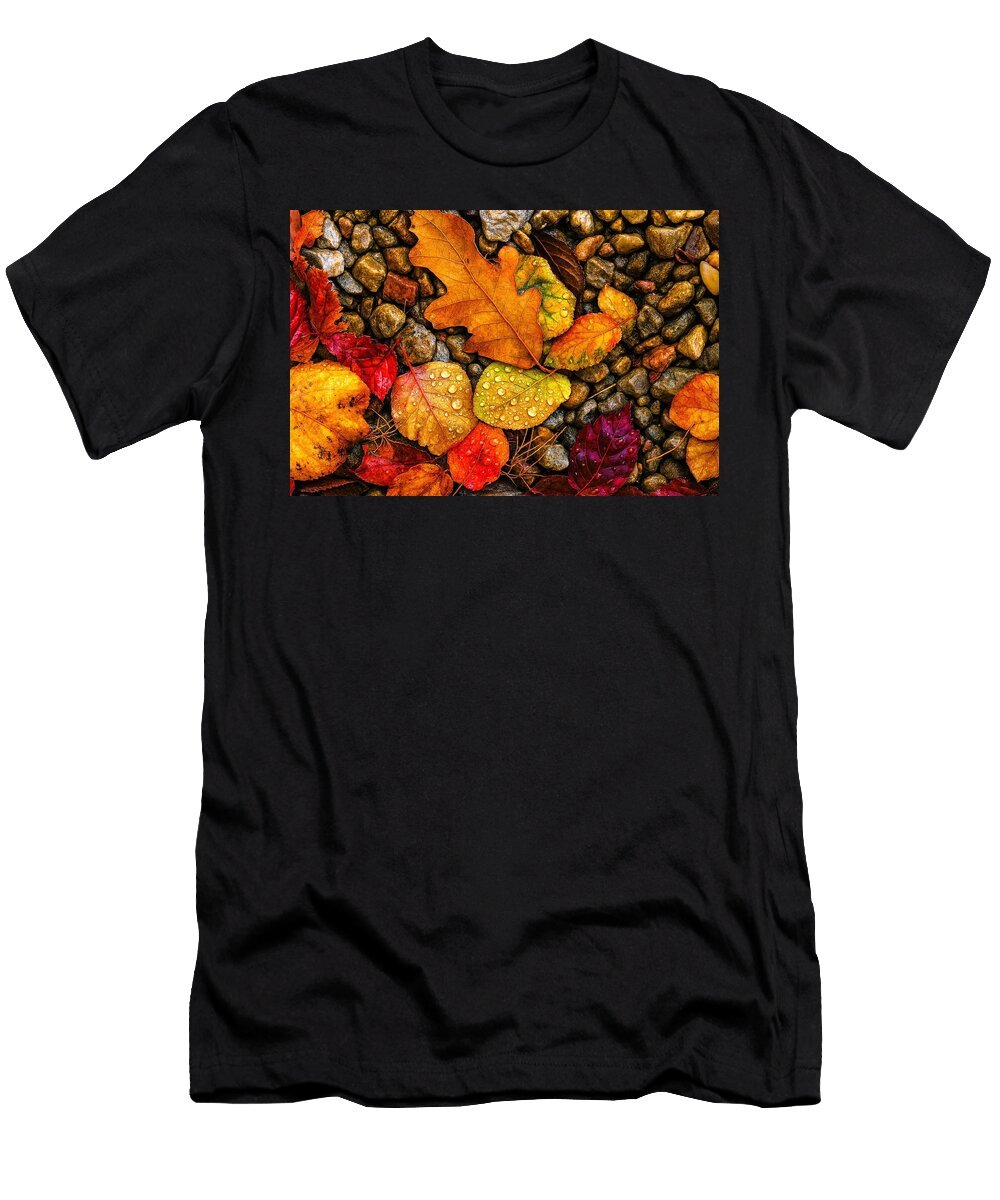Colorful Autumn Leaves on Pebbles Mario G Rivera T-Shirt