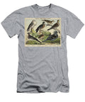 Columbae Gallinae Pigeons and Quail European School T-Shirt