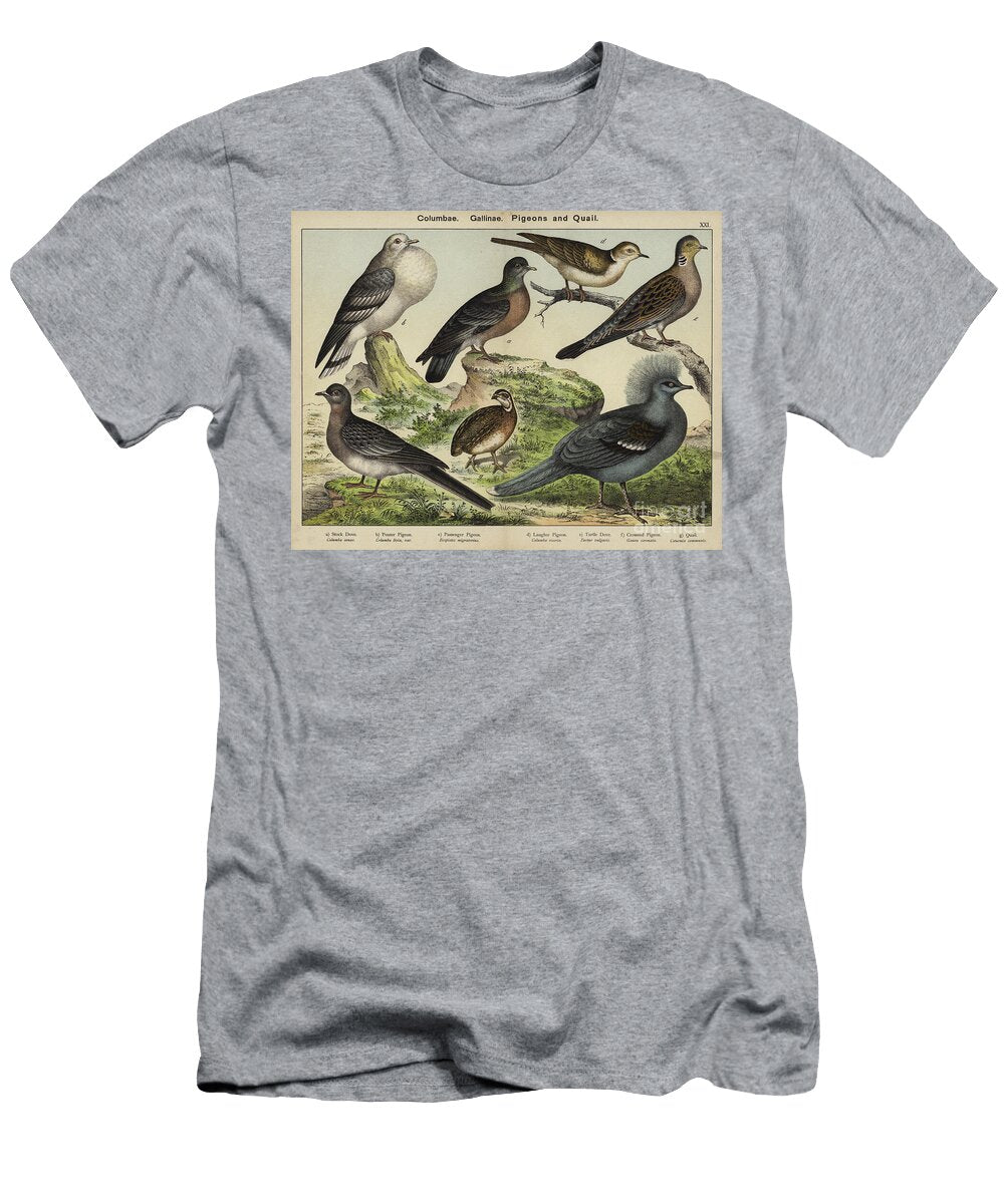 Columbae Gallinae Pigeons and Quail European School T-Shirt