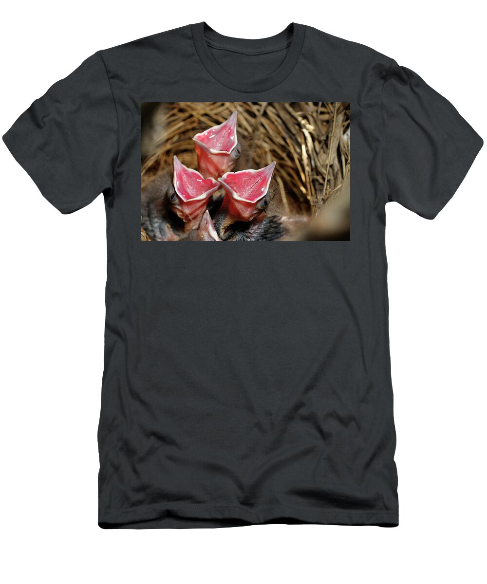 Common Grackle Chicks in Nest with Open Red Mouths Reimar Gaertner T-Shirt