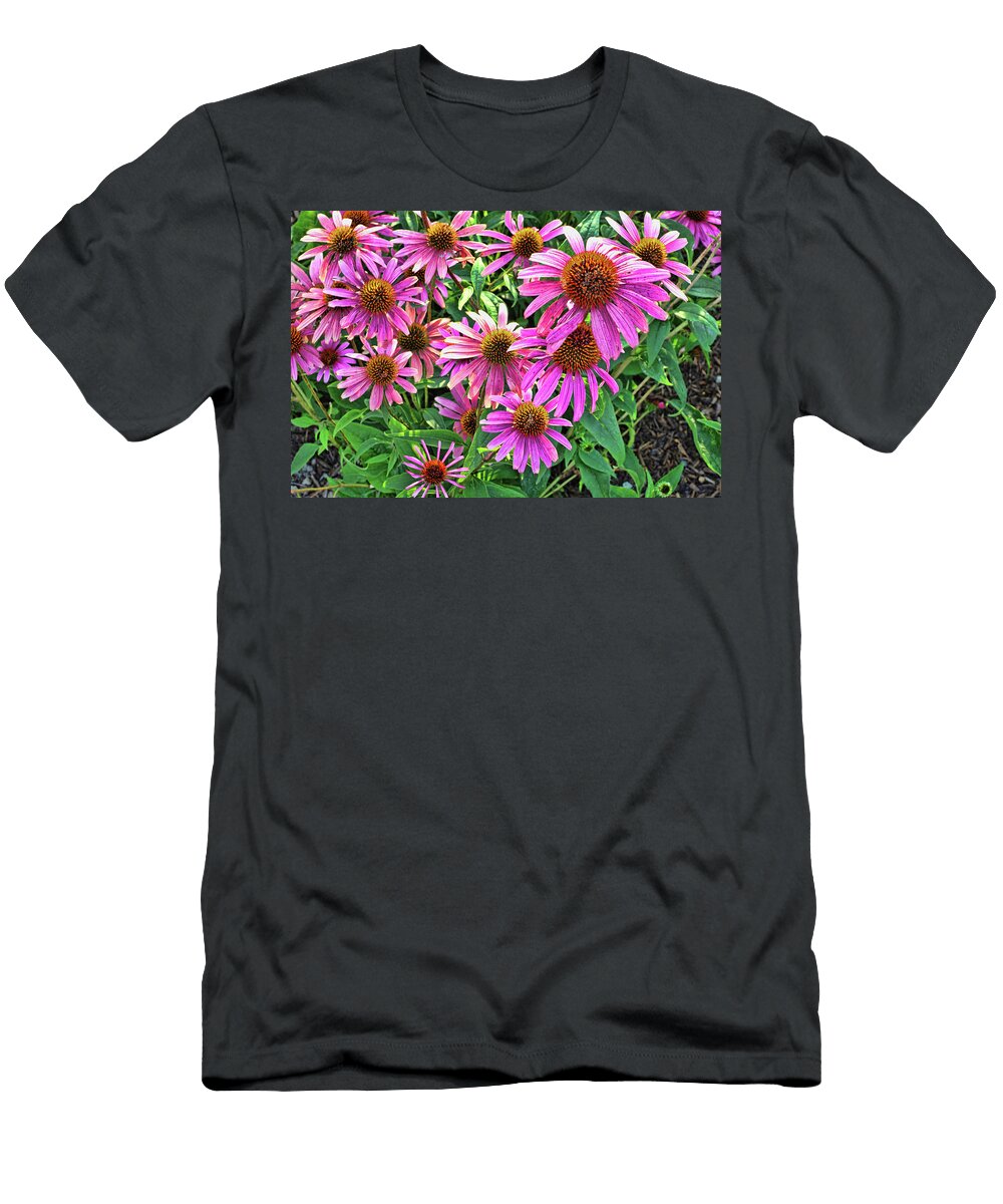 Cone Flowers Allen Beatty T-Shirt