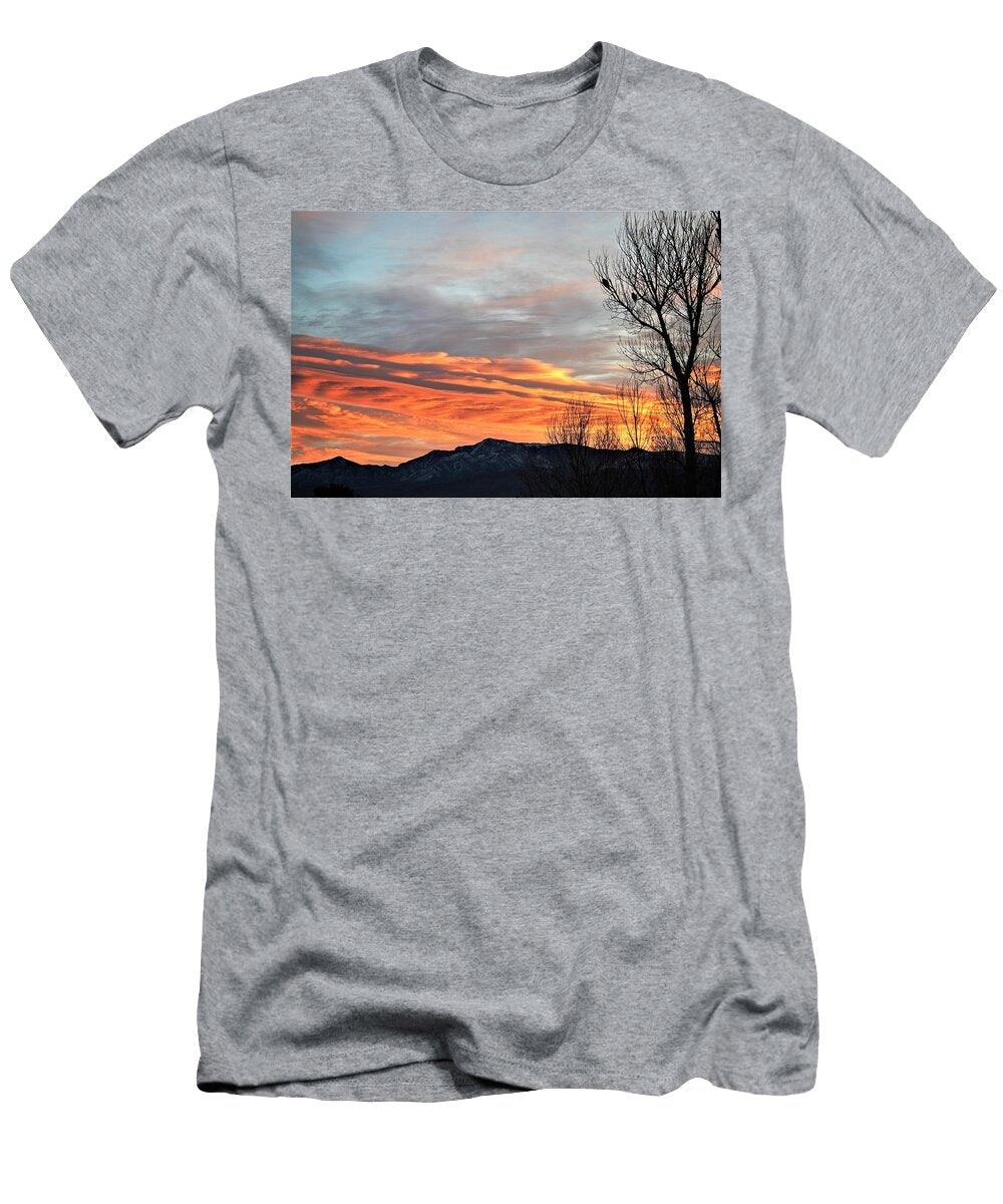 Coopers Hawks Overwatch Don Eisen T-Shirt