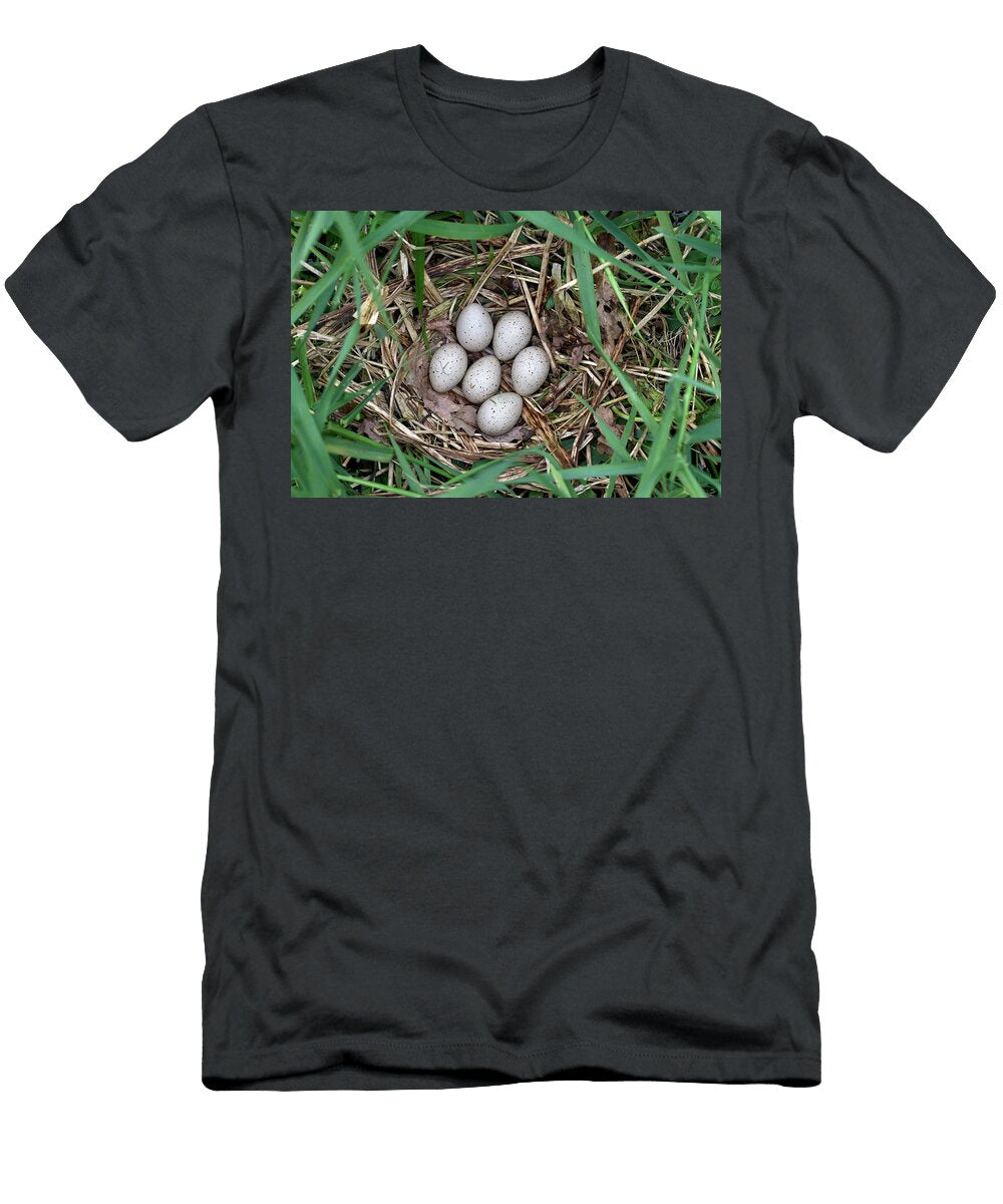 Coot Nest with Clutch of Eggs Norfolk England UK Robin Chittenden Natureplcom T-Shirt