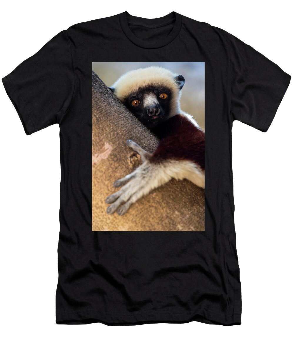 Coquerels Sifaka in a Tree Anjajavy Private Reserve David Pattyn Natureplcom T-Shirt