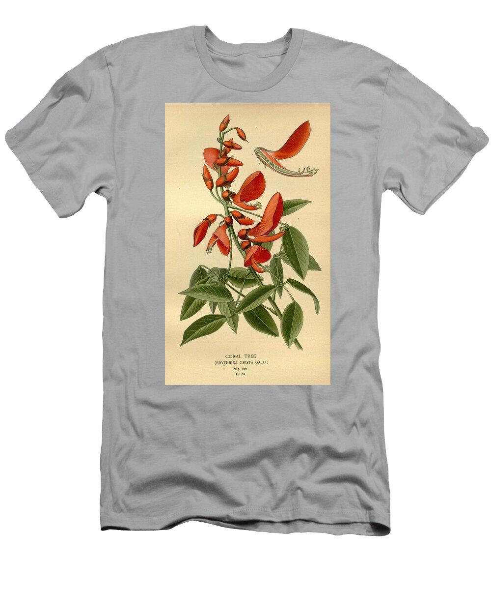 Coral Tree Unknown T-Shirt