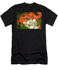 Corn Snake Female with Clutch of Recently Laid Eggs John Cancalosi Natureplcom T-Shirt