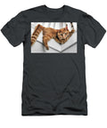 Cornered Kitty David Mcdonald T-Shirt