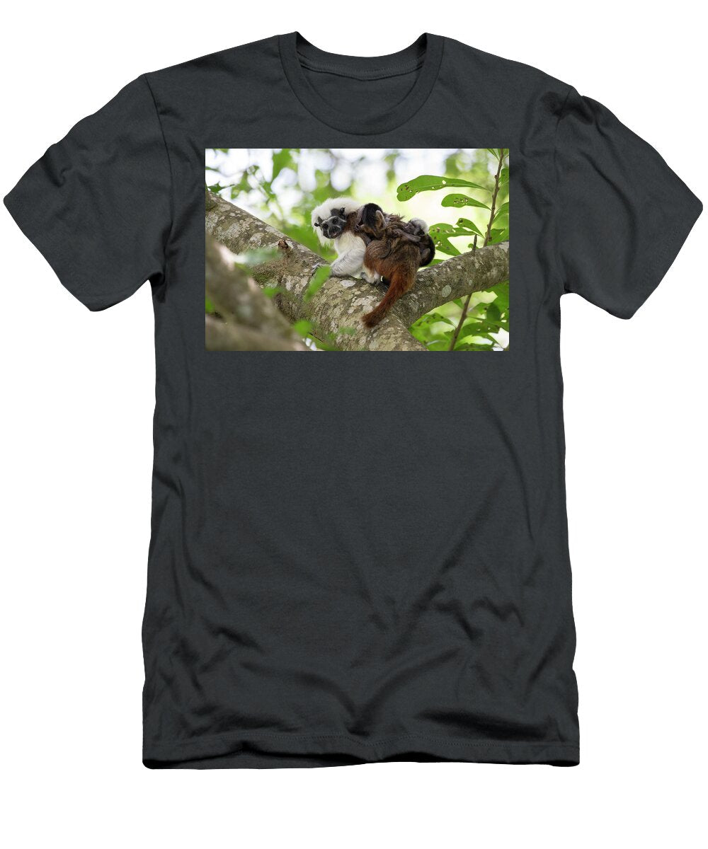 Cotton Top Tamarin Adult Carrying Two Week Old Twin Babies Suzi Eszterhas Natureplcom T-Shirt