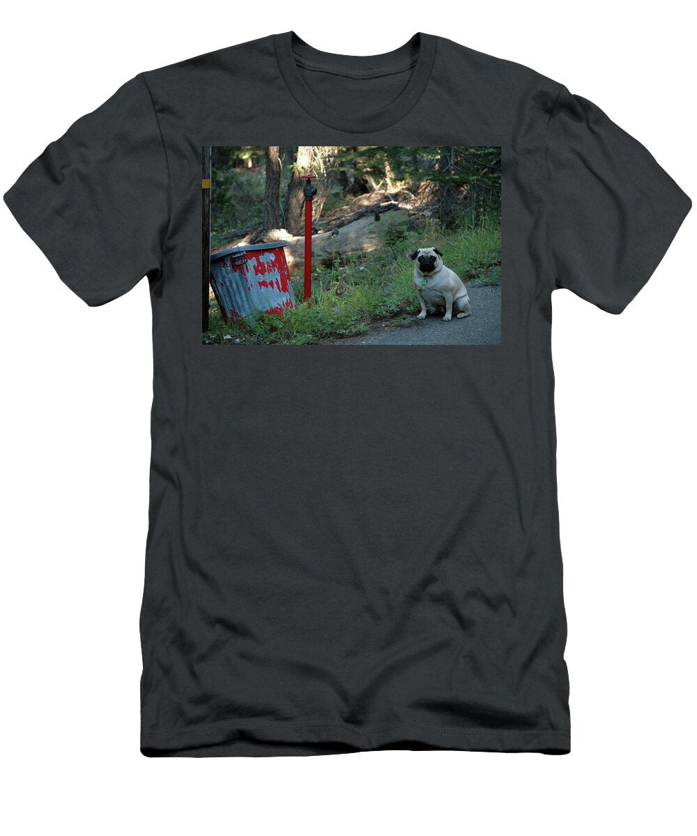 Country Fire Hydrant Michael Cousineau T-Shirt