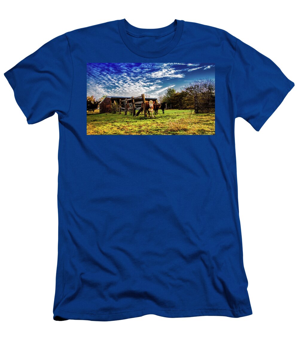 Cows in the Lot Chance Kirby T-Shirt