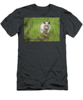 Coyote Julie Argyle T-Shirt