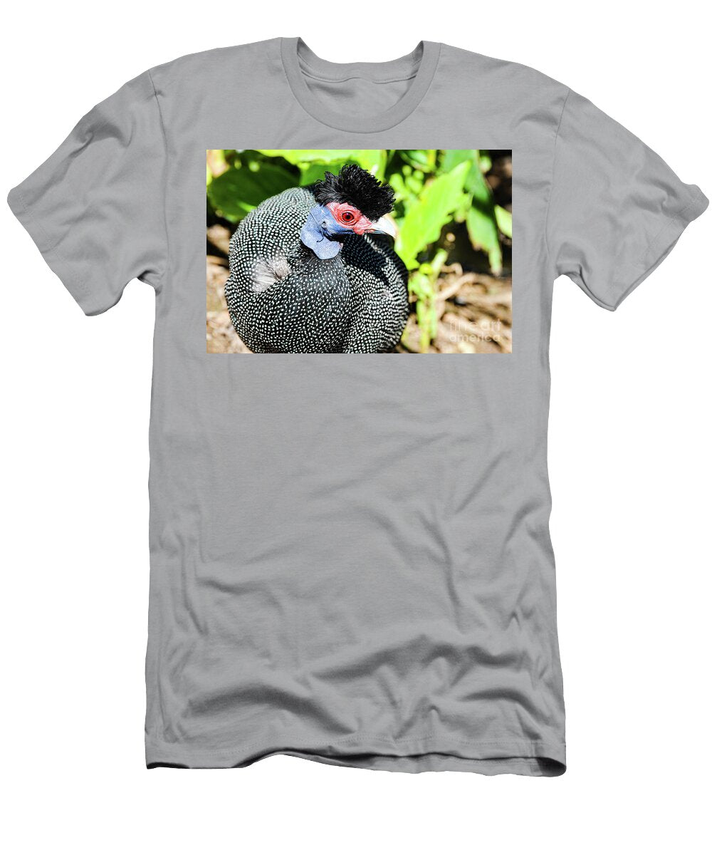 Crested Guineafolw Searching for Food Gunther Allen T-Shirt