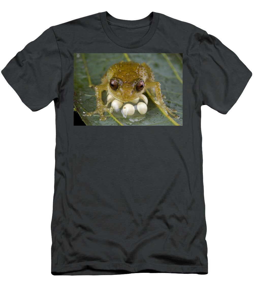 Cross Frog Male Protecting Eggs Papua Piotr Naskrecki T-Shirt