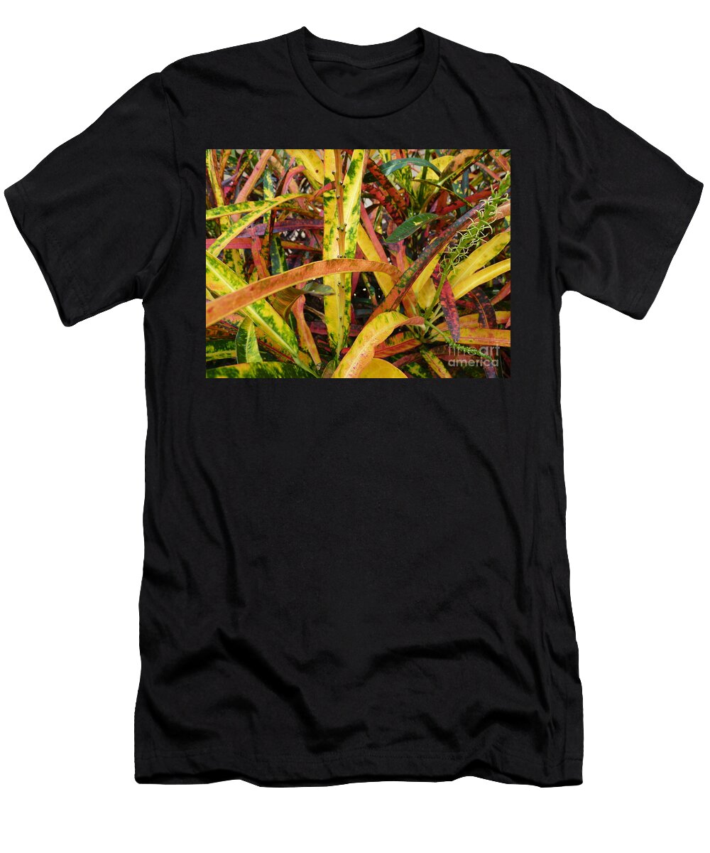 Croton Medley Cat Pancake T-Shirt